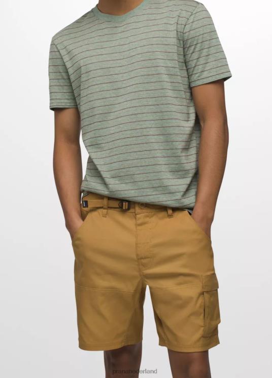 prAna bodems VP06P937 Heren stretch zion kort ii bruin aan boord gaan