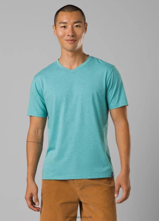 prAna kleding VP06P889 Heren T-shirt met v-hals - lang aquatische heide
