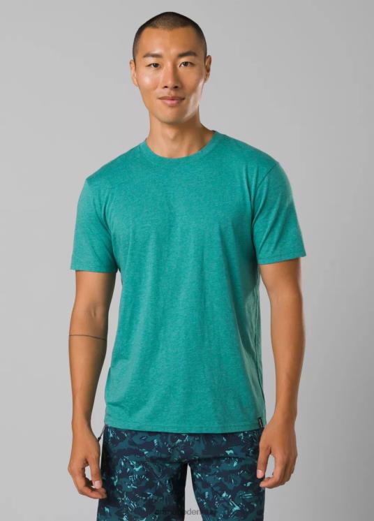 prAna kleding VP06P891 Heren T-shirt met ronde hals, lang baai heide