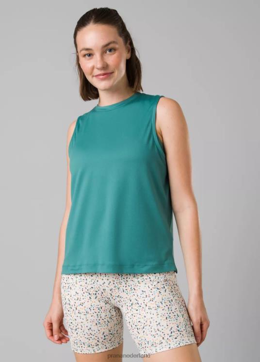 prAna kleding VP06P160 vrouwen alpengloed tank inham
