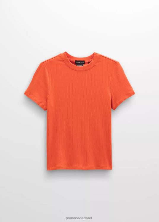prAna kleding VP06P52 vrouwen foundation rib-T-shirt heide bij het haardvuur