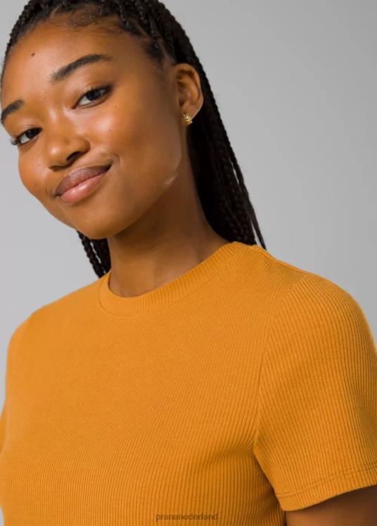 prAna kleding VP06P58 vrouwen foundation rib-T-shirt zonnewende heide