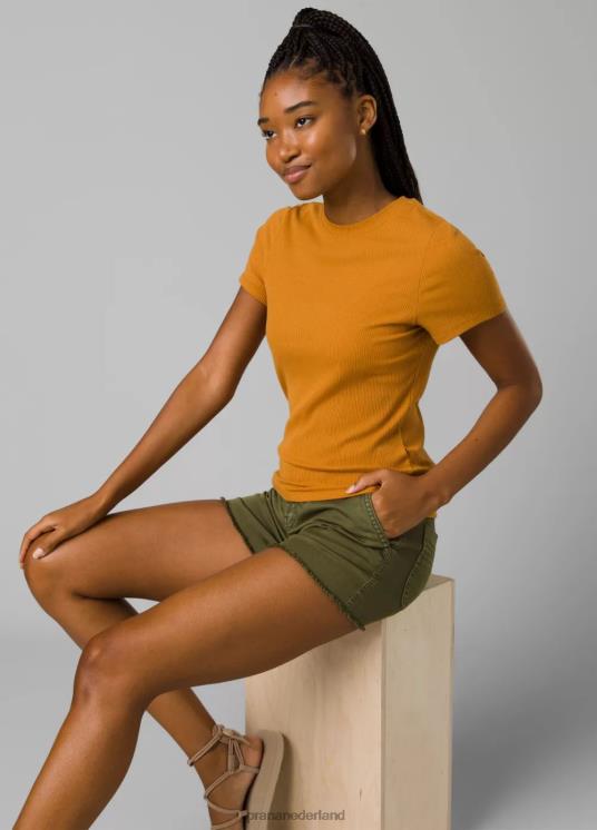 prAna kleding VP06P58 vrouwen foundation rib-T-shirt zonnewende heide